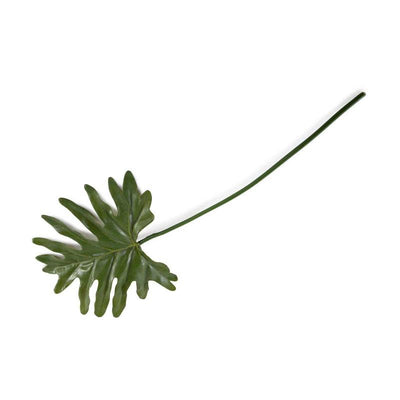 Philodendron Mini-Monstera Leaf, 18" L