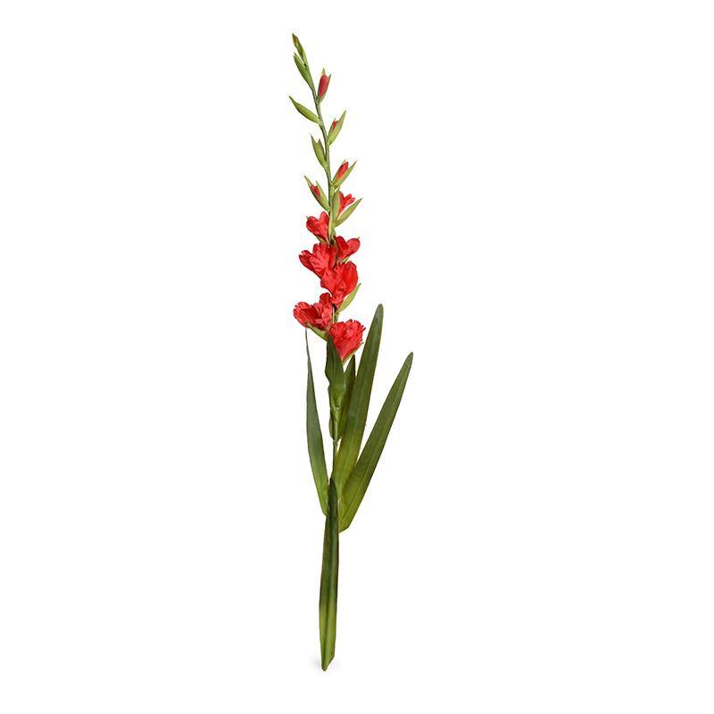 Gladiolus Flower Stem, 48 L - Red – New Growth Designs