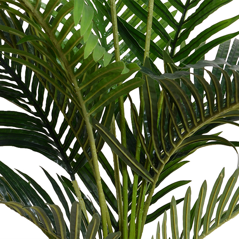 Kentia Palm Tree 48"