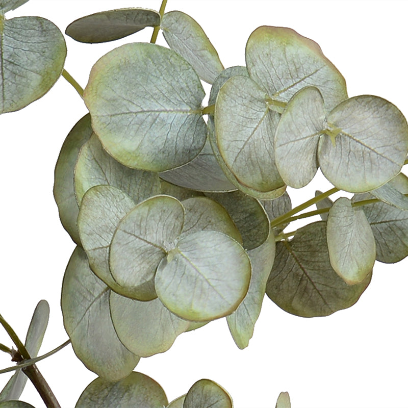 Eucalyptus leaf spray, 34"L