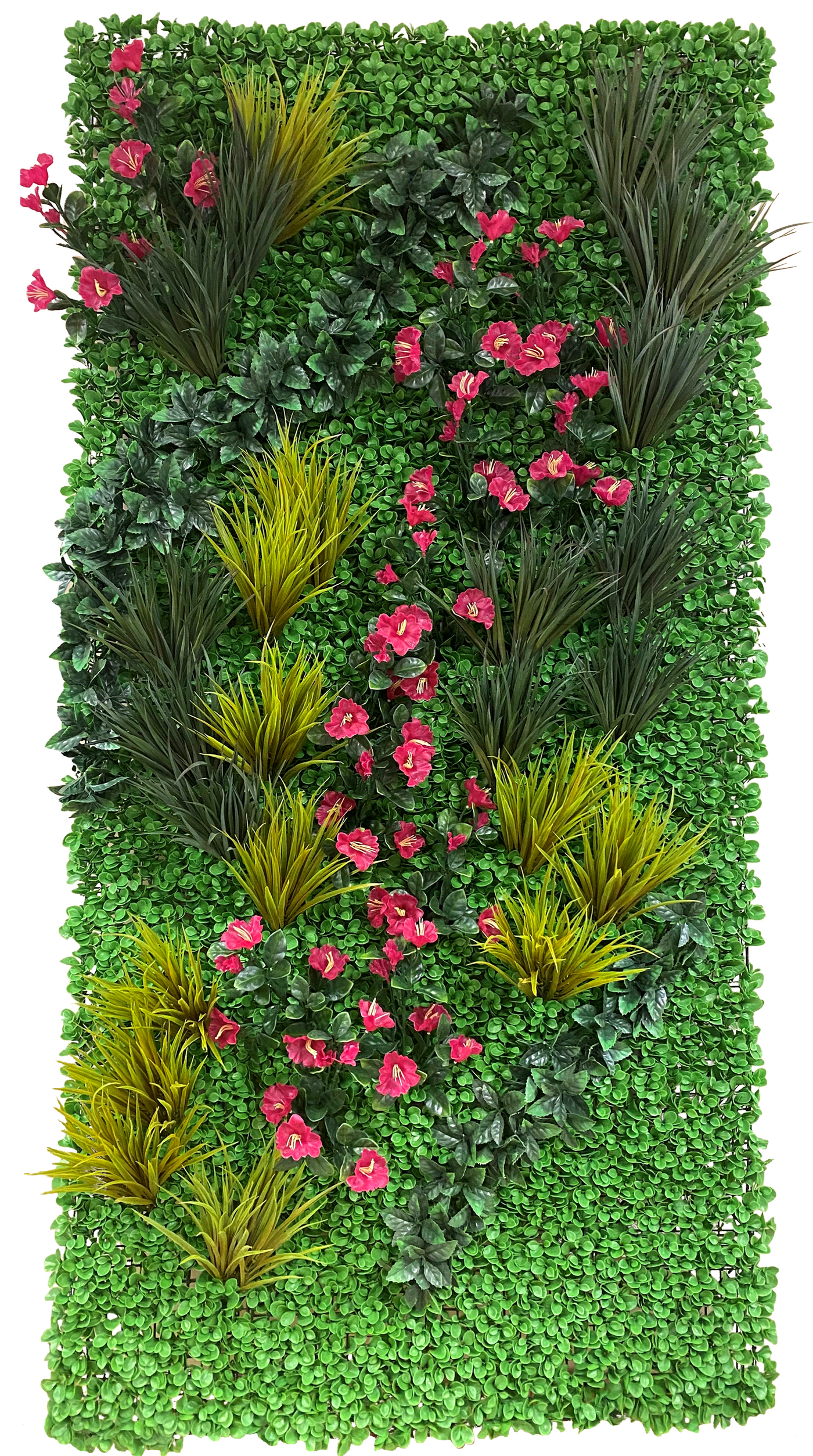4' x 8' Green Wallscape Kit - Peperomia, Grasses, Ligustrum, Petunia
