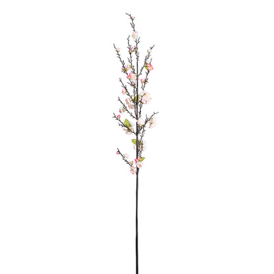 Stems - New Growth Designs