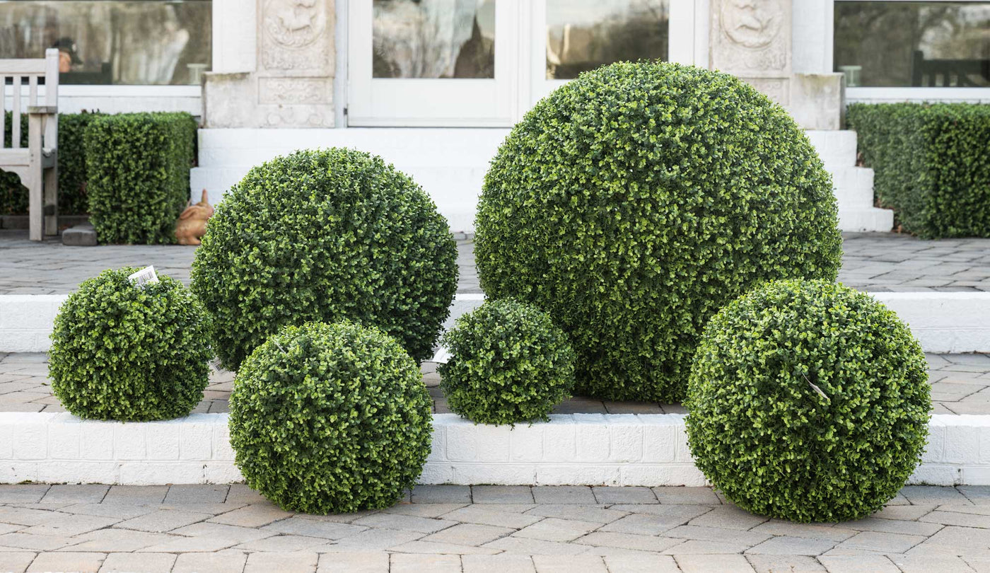 Six Wholesale Faux Topiary Balls on Patio Steps Outside Commercial Building - New Growth Designs