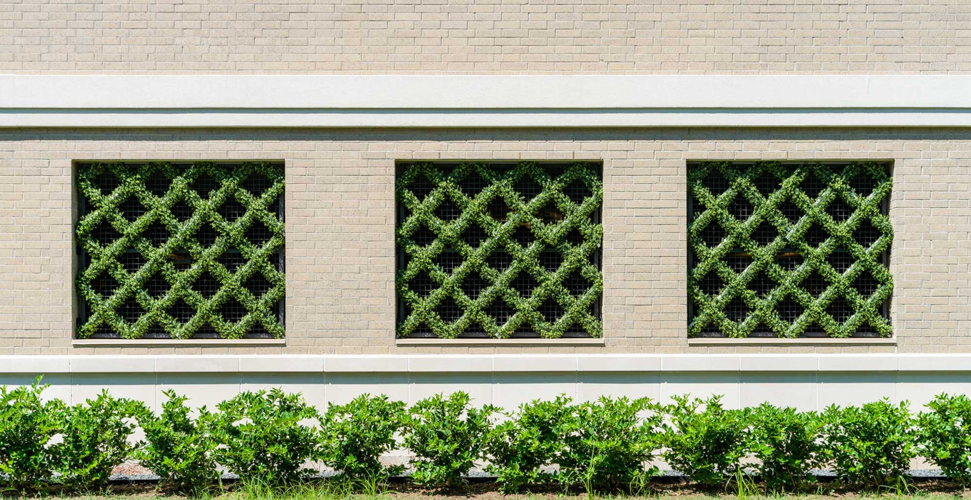 Artificial Greenery Trellis in Three Commercial Building Windows – Enduraleaf by New Growth Designs