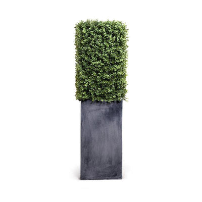 Boxwood Column 22"H