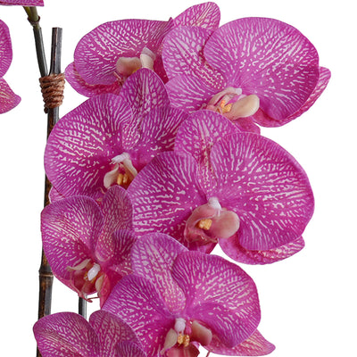 Phalaenopsis Orchid x3 in Rustic Terracotta