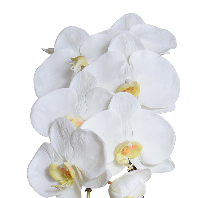 Phalaenopsis Orchid x2 in Porcelain Bowl 28"H