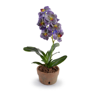 Vanda Orchid in Terracotta 18"H