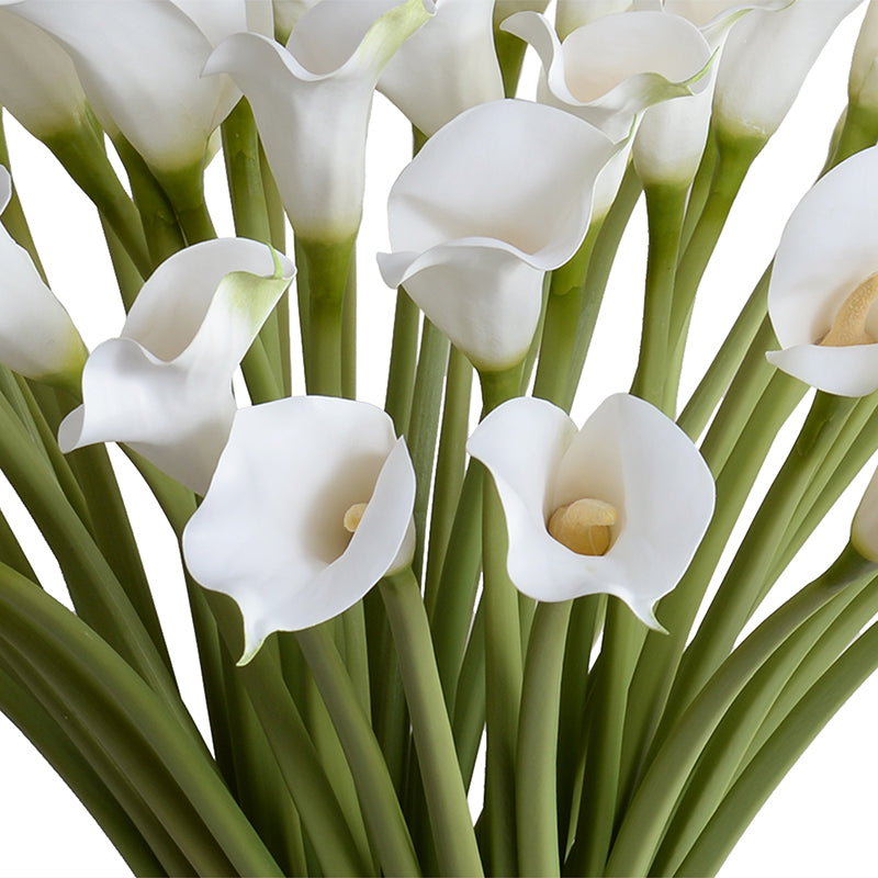 Calla Lily Arrangement in Tall Glass - White