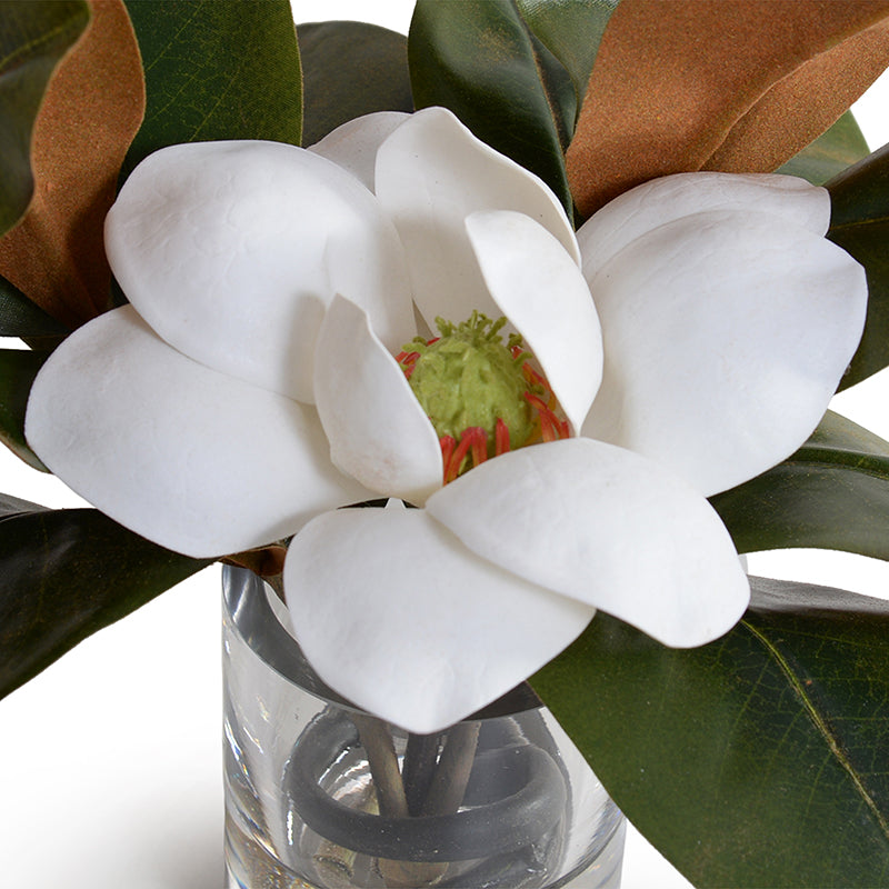 Magnolia Blossom 11"H