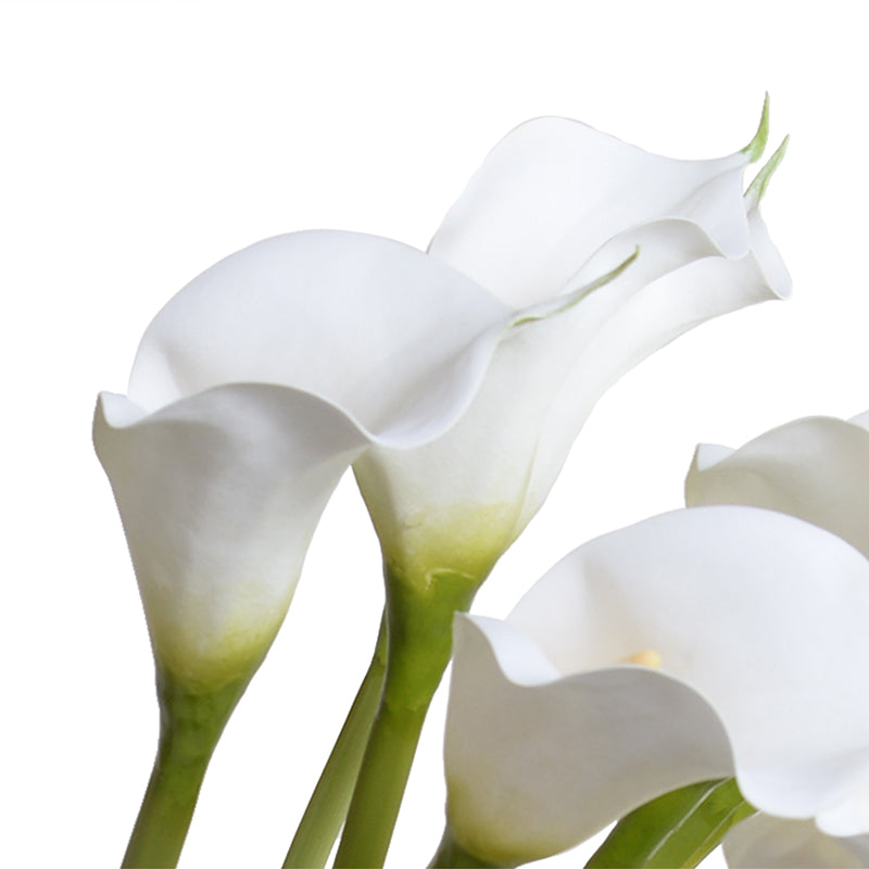 Calla Lily with Succulent collar in glass, 30"H