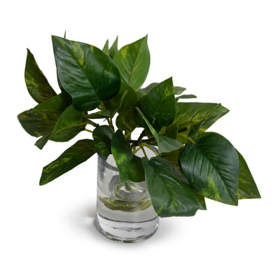 Realistic Wholesale Faux Pothos Plant in Glass Vase Indoor 9 Inches Tall - New Growth Designs