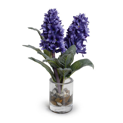 Hyacinth, Lamb's Ear Small Arrangement in Glass