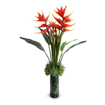Heliconia "Lobster Claw", Succulent Tropical Arrangement, 56"H