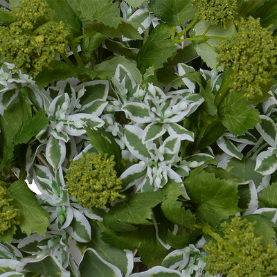 Viburnum, Euphorbia Arrangement 18"H