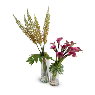 Eremurus Arrangement in Glass, 48" H