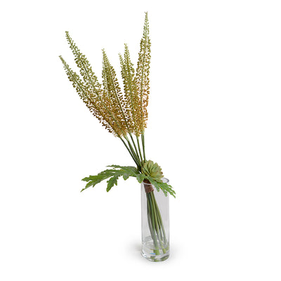 Eremurus Arrangement in Glass, 48" H