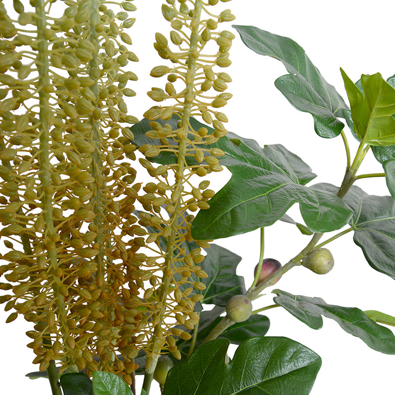 Eremurus & Fig Branches Arrangement