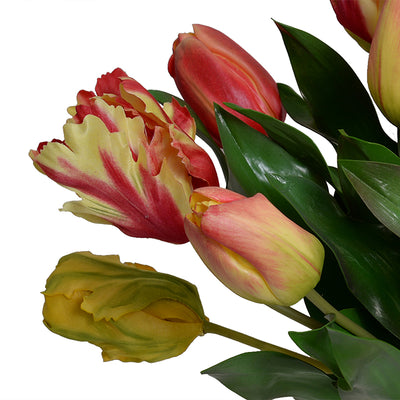Tulip Arrangement in Oval Vase