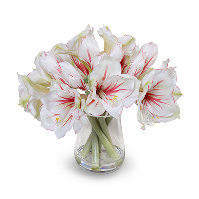 Amaryllis Arrangement 15"H