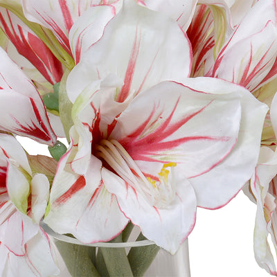 Amaryllis Arrangement 15"H