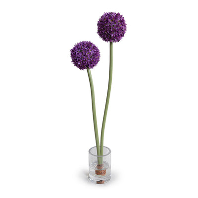 Allium in Glass Vase
