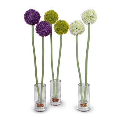 Allium in Glass Vase 27"H