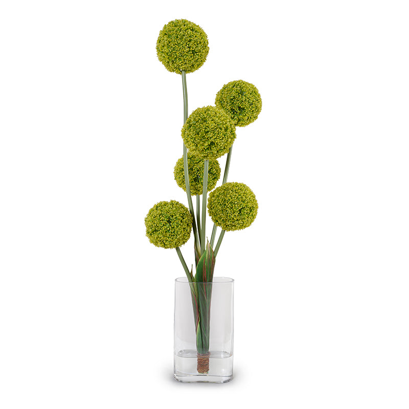 Allium Arrangement in Glass Oval, 42"H