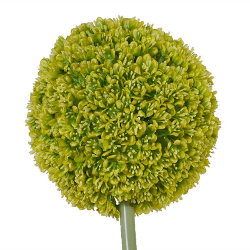 Allium Arrangement in Glass Oval, 42"H