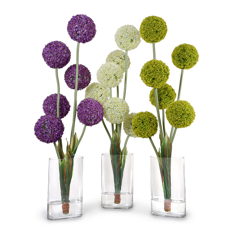 Allium Arrangement in Glass Oval, 42"H