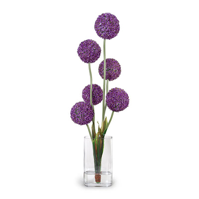 Allium Arrangement in Glass Oval, 42"H