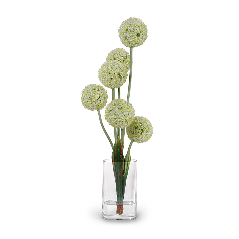 Allium Arrangement in Glass Oval, 42"H