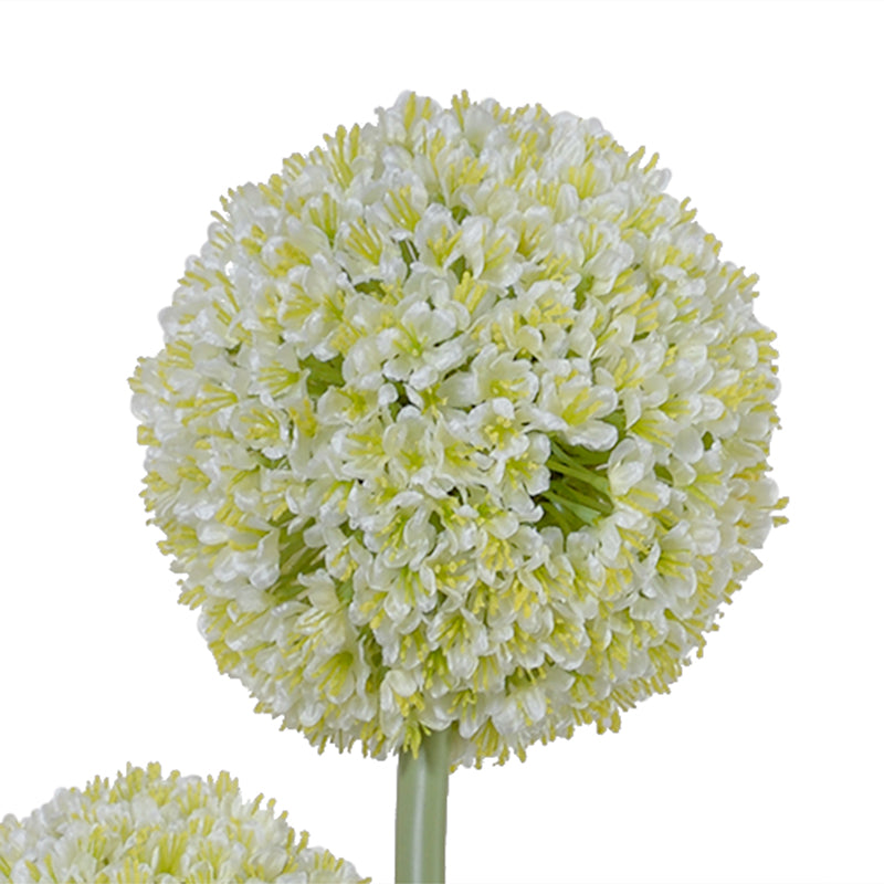 Allium Arrangement in Glass Oval, 42"H