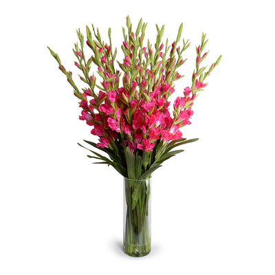 Gladiolus Arrangement in Glass 45"H