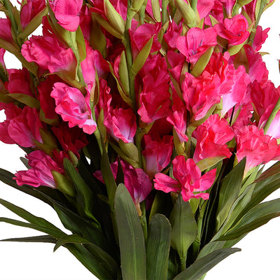 Gladiolus Arrangement in Glass 45"H