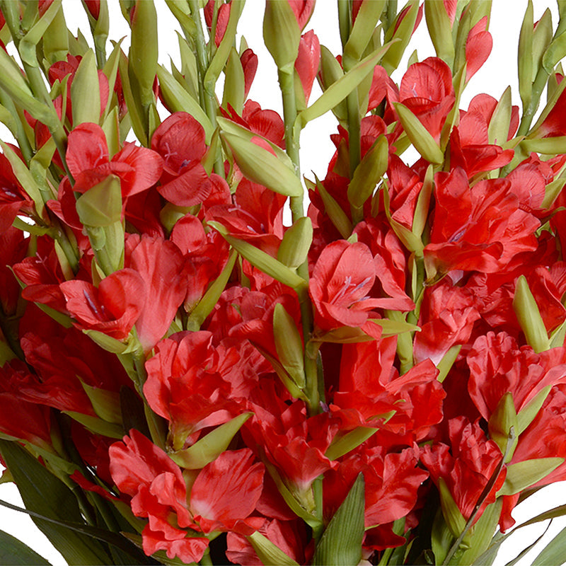 Gladiolus Arrangement in Glass 45"H