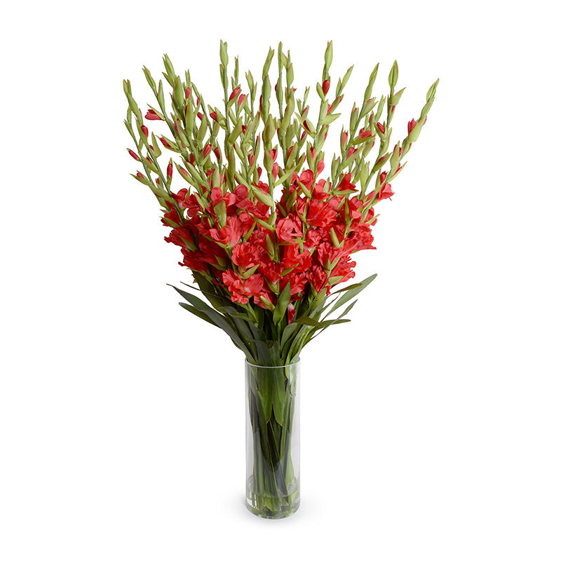 Gladiolus Arrangement in Glass 45"H