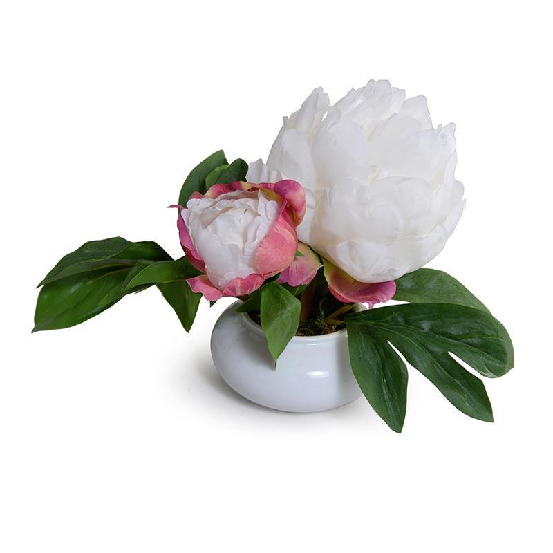 Peony Cutting in Porcelain Bowl