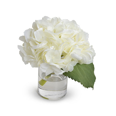 Hydrangea Cutting - Cream-white