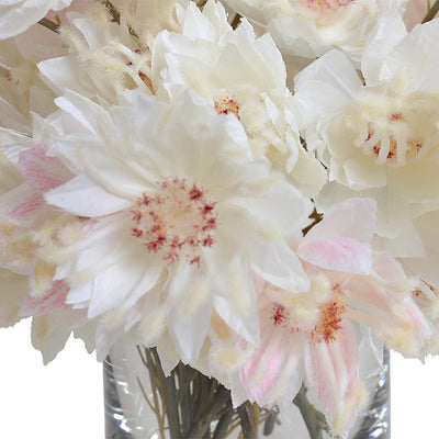 Protea Flowers in Glass - Blush Pink