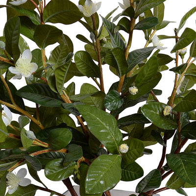 Pomegranate Leaf Arrangement - Green-white