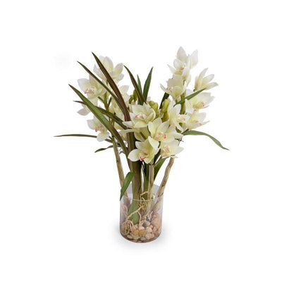 Cymbidium Orchid (Large) 24"H