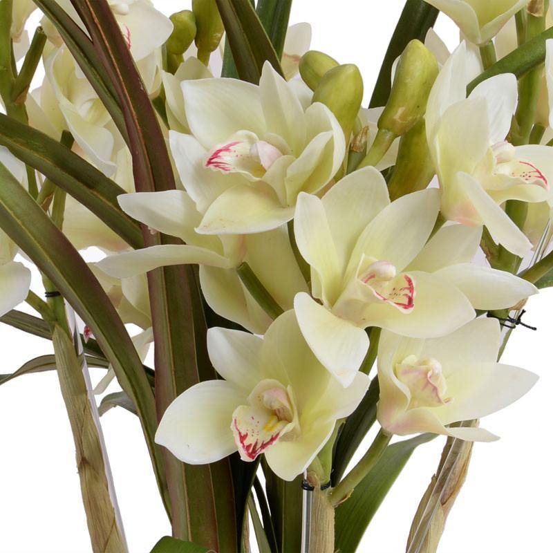 Cymbidium Orchid (Large) 24"H