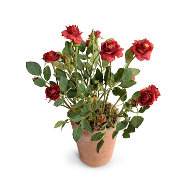 Rose Plant Mini Pot 13"H
