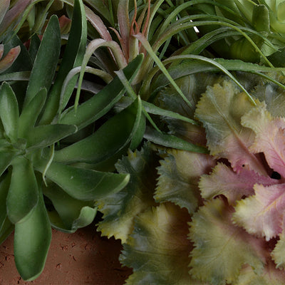 Succulent Mixed Planter, Terracotta