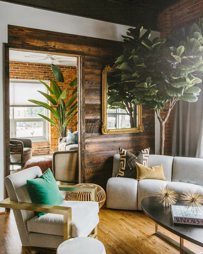 Fiddle Leaf Fig Tree 10'