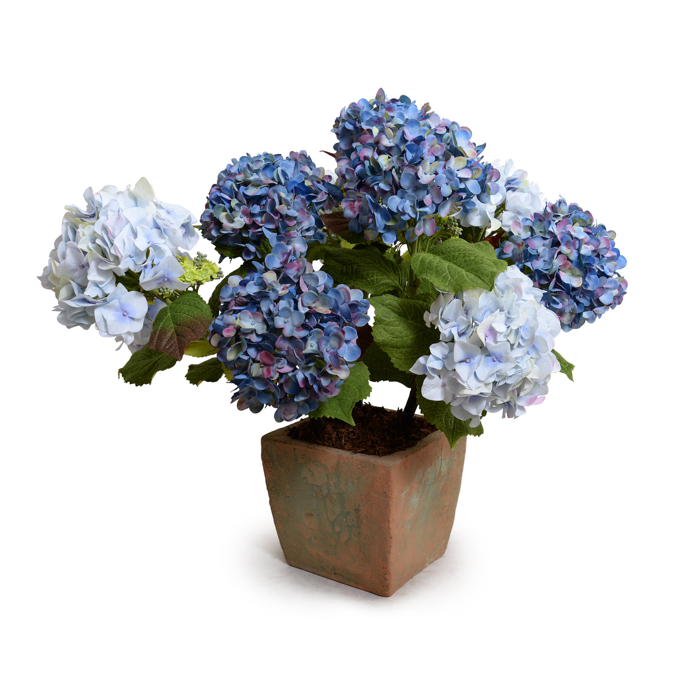 Hydrangea Bush, Large, 29"H - Violet-blue