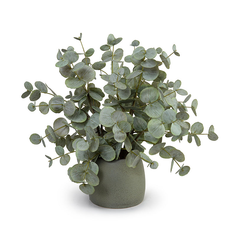 Eucalyptus in Porcelain Vase, 21"H