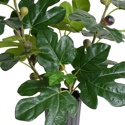 Fig Branches w/ Fruits in Vase