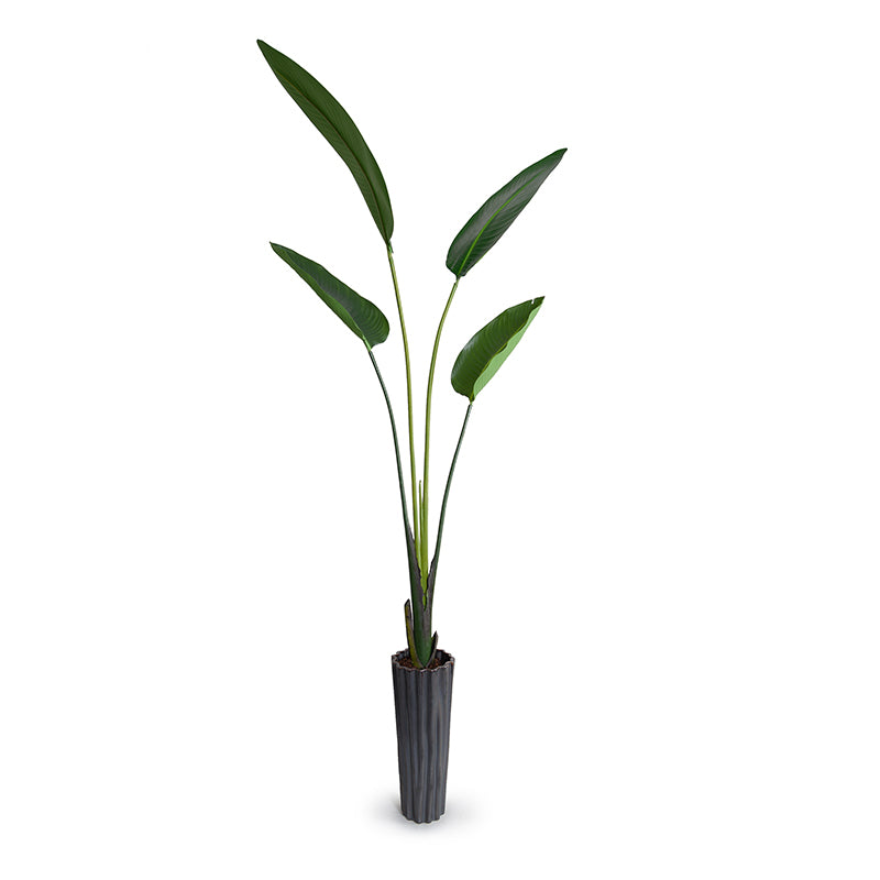 Bird of Paradise (Strelitzia) in Porcelain Vase